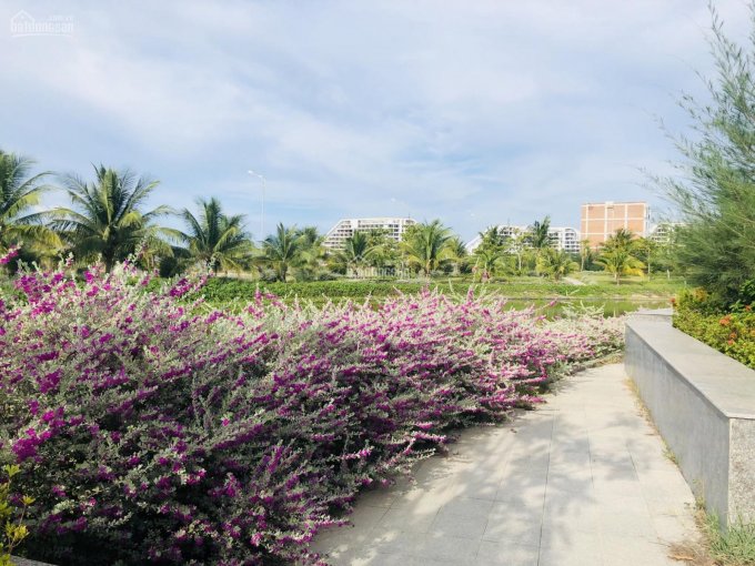 Cần bán lô đất 108m2 trong khu đô thị FLC Luxcity Quy Nhơn, giá đất 10.5 triệu/m2 LH 0902667084