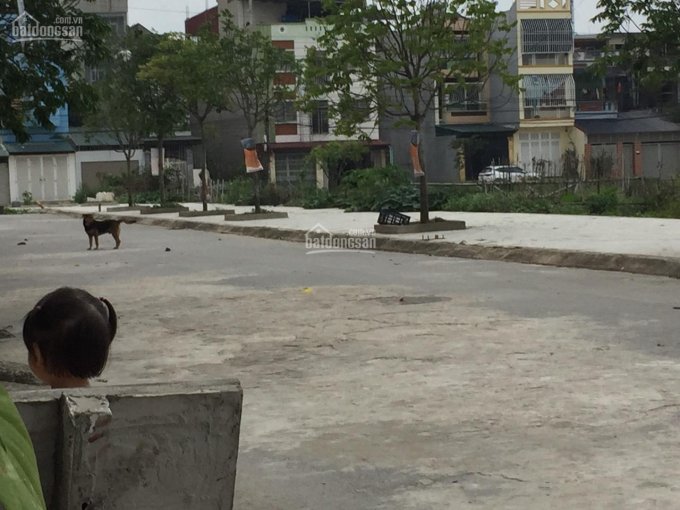 Bán đất trung tâm TP Thanh Hóa