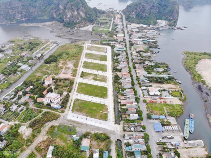 Chính chủ bán đất nền biệt thự Ocen Park, Cẩm Đông - cạnh TTP. Đất nền không bắt phải xây dựng