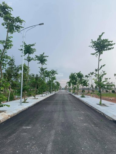 Ra mắt dự án khu đô thị Hoàng Sơn ngay trung tâm thị trấn Diễn Châu