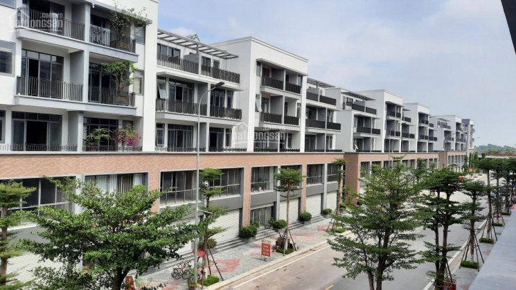 Chính chủ cần bán lô đất dự án TMS Phúc Yên DT 75m2 hướng đông nam, view công viên. LH: 0968624722