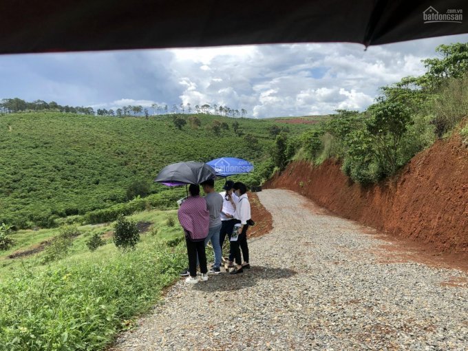 Về vườn trồng rau, nuôi cá. Đất Bảo Lâm chỉ 1,3tr/m2, sổ hồng riêng, bao view sang chảnh