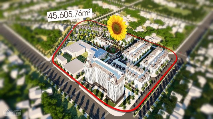 Shophouse, nhà phố, biệt thự liền kề Vimefulland Cổ Dương - Đông Anh hỗ trợ LS 0% trong 18 tháng