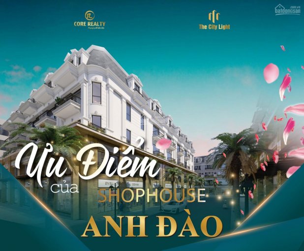 Đầu tư shophouse Anh Đào - lợi nhuận siêu khủng