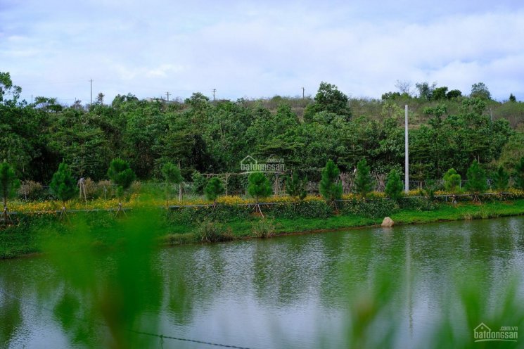 Cần tiền bán gấp lô đất gần suối, view đẹp giá rẻ