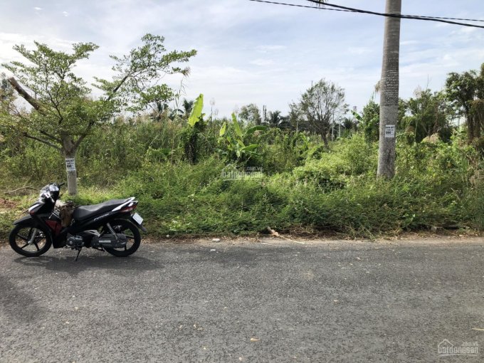 Đất nền Tây Đô Ecopark hàng ngộp giá rẻ - trục chính số 1