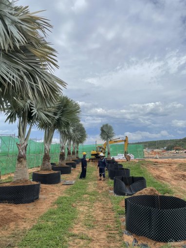 Hamubay Phan Thiết - đất nền ven biển phát triển tiềm năng - sổ đỏ lâu dài - LH: 0981688273