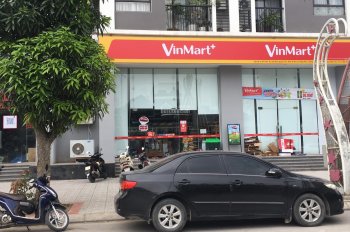 Cần tiền bán gấp lô đất vị trí kinh doanh trước mặt, siêu thị Vinmart Lạc Hồng Phúc