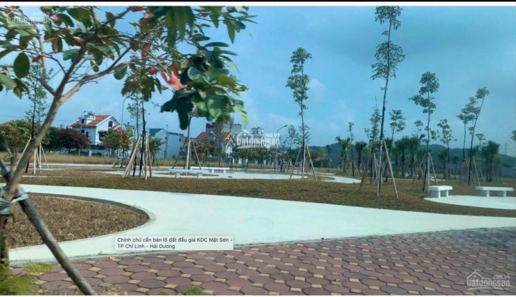 Chính bán lô đất khu dân cư Hồ Mật Sơn Contrexim đối diện công viên - TP Chí Linh