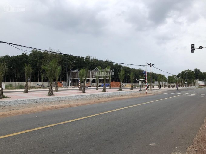 Đất có sổ Bàu Bàng - Chơn Thành, mặt tiền đường lộ giới 42m, giá rẻ
