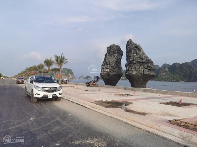 Bán đất nền ven biển vịnh Bái Tử Long Green Dragon City - Cẩm Phả - Quảng Ninh