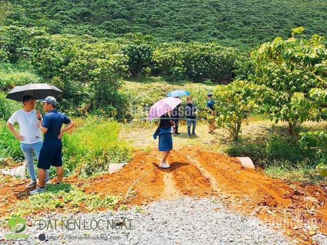 Cần bán gấp vài nền đất nghỉ dưỡng ngay TT TP Bảo Lộc, giá F0, đầu tư sinh lời cao trong ngắn hạn