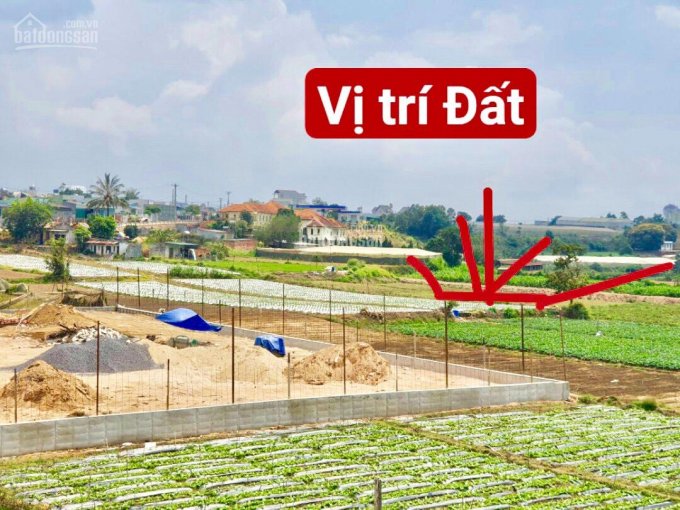 CHỈ TỪ 390 TRIỆU SỞ HỮU NGAY ĐẤT THỔ CƯ GIÁ RẺ VEN ĐÀ LẠT, XÃ KA ĐÔ, ĐƠN DƯƠNG, CÁCH QL27 CHỈ 700M