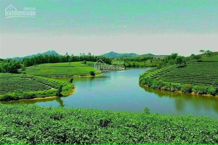 Bán đất view hồ resort 5 Sao đẳng cấp nhất tại TP Bảo Lộc
