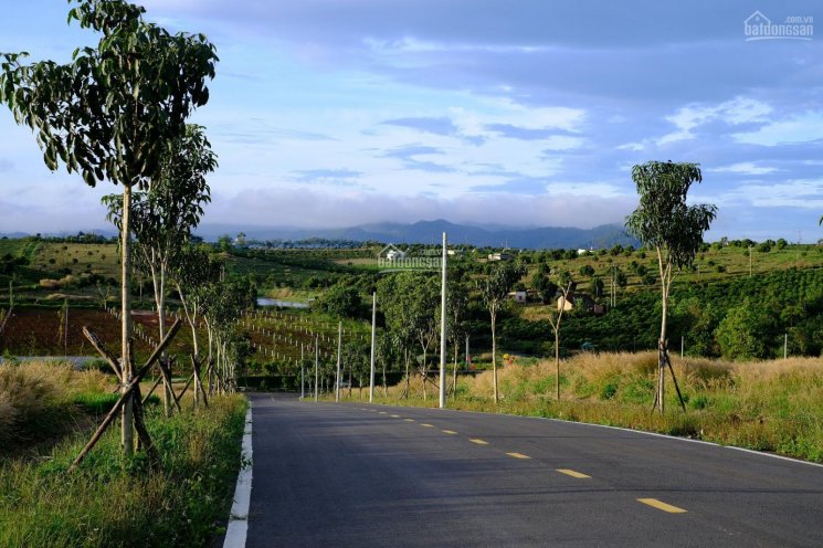 Cần bán lô đất giá rẻ nhất ngay Bảo Lộc, view triệu đô, gần resort, đón đầu cao tốc