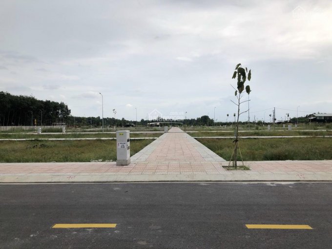 Đất nền Bàu Bàng đã có sổ đỏ - Đất nền mặt tiền đường lớn, gần KCN Bàu Bàng giá rẻ
