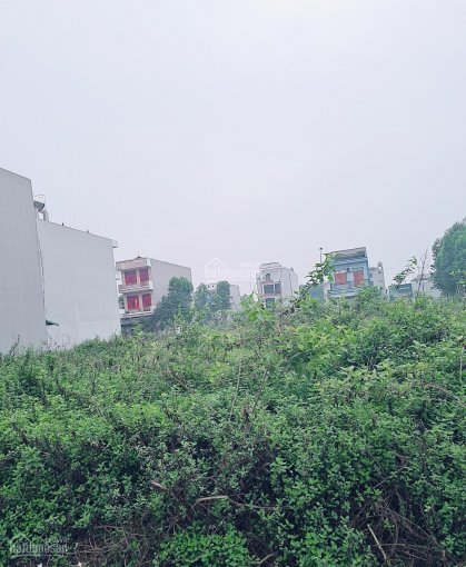 Chính chủ cần bán vài lô đất tại UBND xã Song Khê Bắc Giang