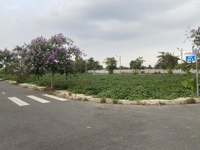 Đất P6, thành phố Tân An. Dự án An Nhiên Garden đường Huỳnh Châu Sổ 80m2, sổ hồng riêng