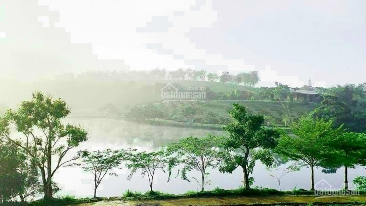 Bán đất view hồ resort 5 Sao đẳng cấp nhất tại TP Bảo Lộc