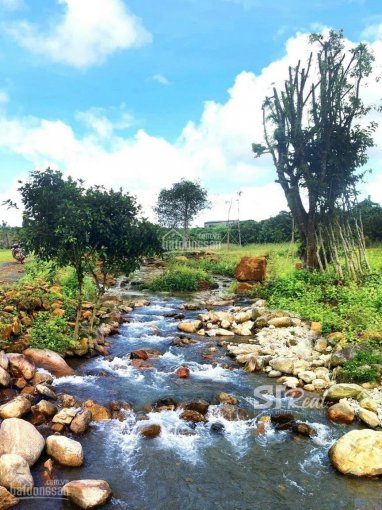 Cần tiền bán gấp đất vườn nghỉ dưỡng trong làng sinh thái cách thác Dambri 2km, view suối tự nhiên