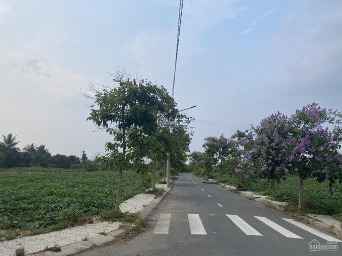 Đất P6, thành phố Tân An. Dự án An Nhiên Garden đường Huỳnh Châu Sổ 80m2, sổ hồng riêng