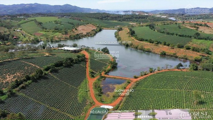 Bán đất nền ngay TP Bảo Lộc, Lâm Đồng, có sổ sẵn, full thổ cư, cam kết lợi nhuận 10% sau 12 tháng