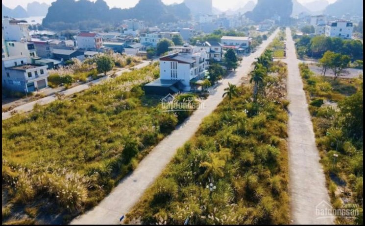 Em chính chủ cần tiền bán 2,2 tỷ đất LK 38 ô 49 KĐT Thống Nhất Vân Đồn, Quảng Ninh