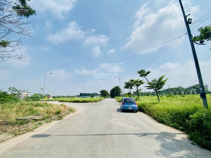Đất biệt thự và liền kề Cienco 5, Mê Linh, Hà Nội, chủ nhà cần vốn bán cắt lỗ giá rẻ đẩy nhanh 