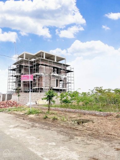 Đất biệt thự và liền kề Cienco 5, Mê Linh, Hà Nội, chủ nhà cần vốn bán cắt lỗ giá rẻ đẩy nhanh 