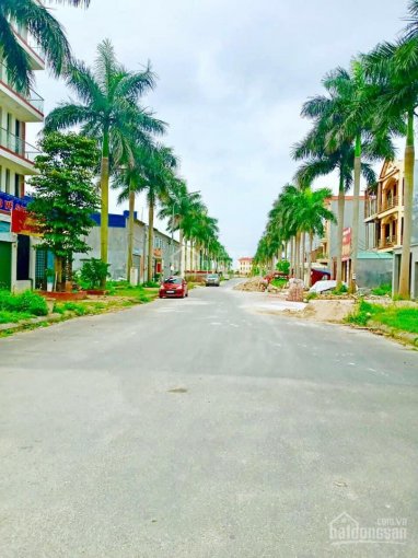 Bán đất New City Phố Nối, giá từ 13 tr/m2