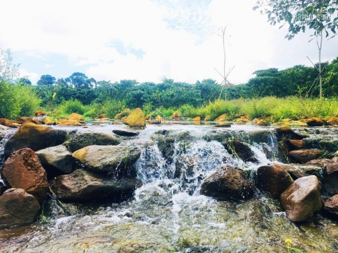 Cần tiền bán gấp đất vườn nghỉ dưỡng trong làng sinh thái cách thác Dambri 2km, view suối tự nhiên
