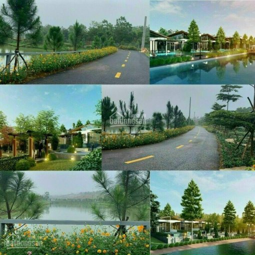 Đất nền nghỉ dưỡng thành phố Bảo Lộc