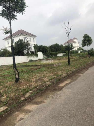 Cần bán BĐS đất Cienco 5 Mê Linh, thanh toán nhanh