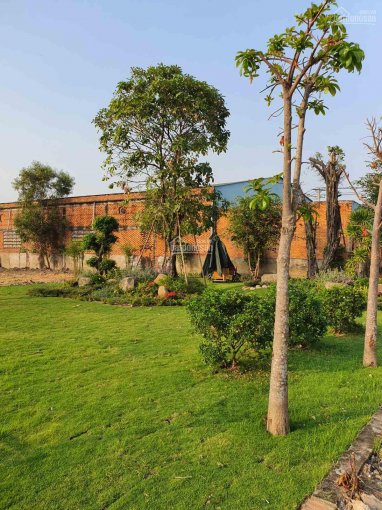 Đầu tư đất nhà phố sổ hồng mặt tiền Quách Điêu, Bình Chánh giá 33 - 36 triệu/m2 - PKD 0983561002