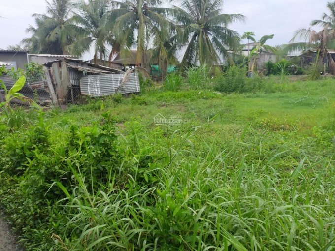 Cần bán gấp lô đất 163m2 thổ cư giá 350tr gần trường học Vĩnh Bình mới, xã Bình Nhì, Gò Công Tây