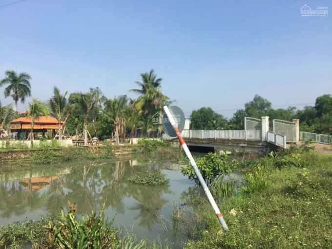 Bán đất thổ vườn làm trang trại hoặc biệt thự sân vườn đường Long Thuận, P. Long Phước, DT đa dạng