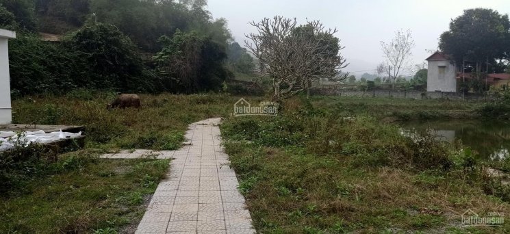 Bán 2400m2 có 400m2 thổ cư còn 1400m2 đất ngoài. Tại xã Cư Yên, huyện Lương Sơn, Hòa Bình lô góc