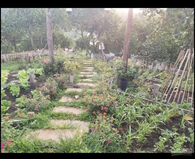 Bán đất vườn xã Đồi Rìu - Hàng Gòn, TP. Long Khánh, đất 2 mặt tiền thông thoáng, giá chỉ 1.2tr/m2