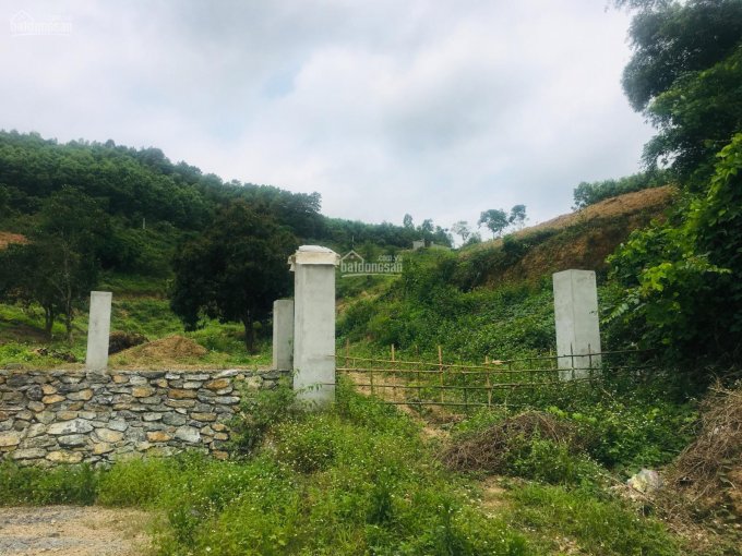 Bán gấp 1,9ha đất view cánh đồng ở Lương Sơn giá chỉ vài trăm nghìn/m2. LH 0917.366.060