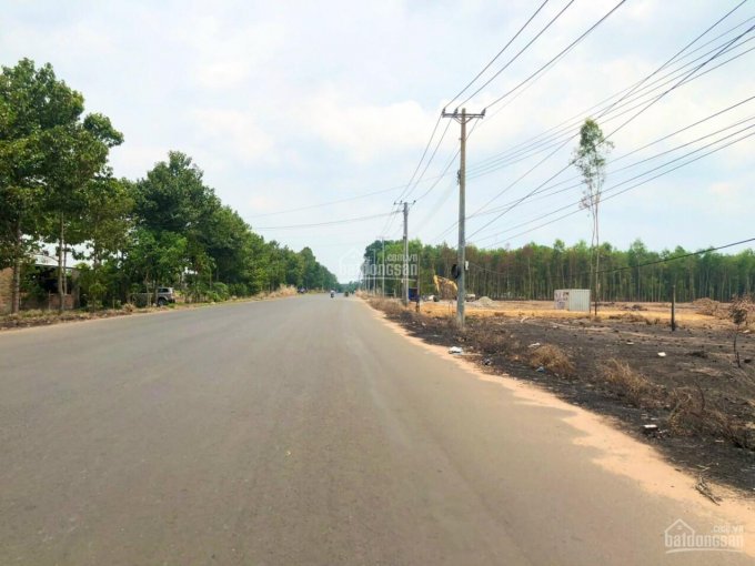 Cần bán lô đất chính chủ ngay bên hông nhà diện tích 1000m2, mặt tiền đường Chính Phước Bình 32m