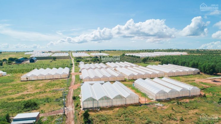Đất farmstay Bình Thuận ngay biển - giá 90.000/m2. LH 0938531704