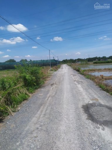 Cần bán lô đất vườn 1000m2 mặt tiền đường thôn Láng Cát, Tân Nhựt, Bình Chánh