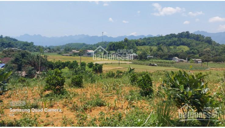 Chính chủ gửi bán lô đất rộng 2500m2 tại Tân Lạc phù hợp đầu tư sinh lời, làm nghỉ dưỡng