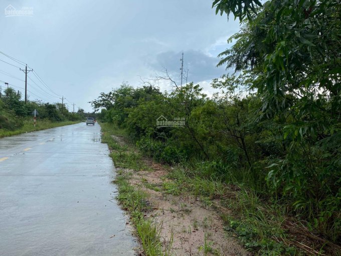 1,7ha Hơn 200m mặt tiền Đông Đảo - giá tốt