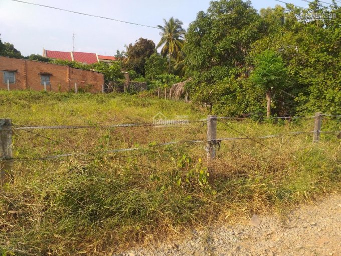 Bán đất mặt tiền đường Nguyễn Du thị xã La Gi giá rẻ