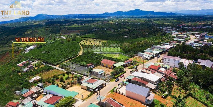 648 m2 đất full thổ cư - giá 2 triệu m2 - Lâm Đồng