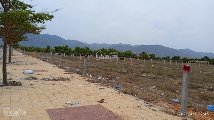 Bán đất mặt tiền Mũi Dinh - Ninh Thuận