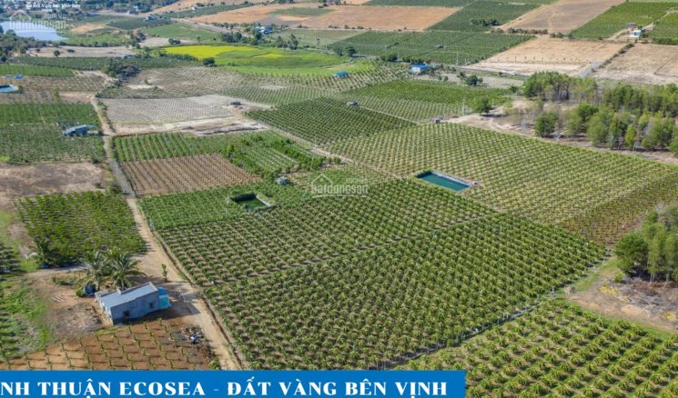 Đất farmstay Bình Thuận ngay biển - giá 90.000/m2. LH 0938531704