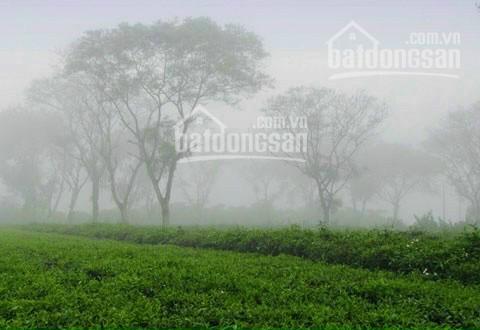 Đất Bảo Lộc, siêu phẩm nghỉ dưỡng đầu tư siêu lợi nhuận. Pháp lí an toàn đất TC, giá từ 4,5 tr/m2