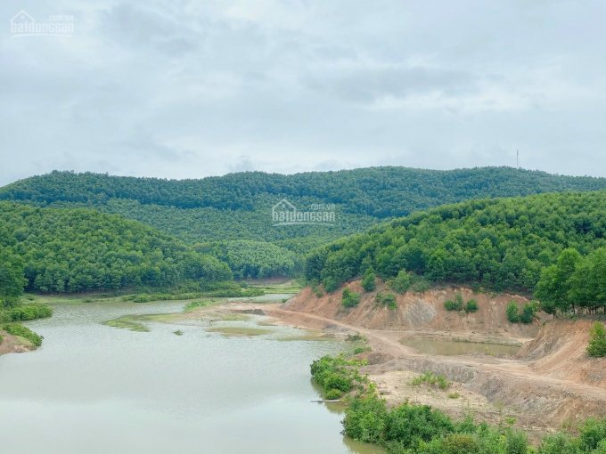 70ha đất rừng sản xuất tại Kim Bôi, Hòa Bình gần Serena Resort, đường vào to rộng